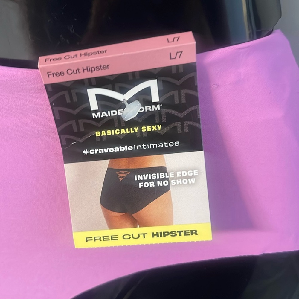 NWT Maidenform Bikini Panty Pink Hipster Microfiber Sissy Whimsical Fairy Large